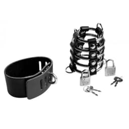 Strict Gates of Hell Chastity Device, image 3