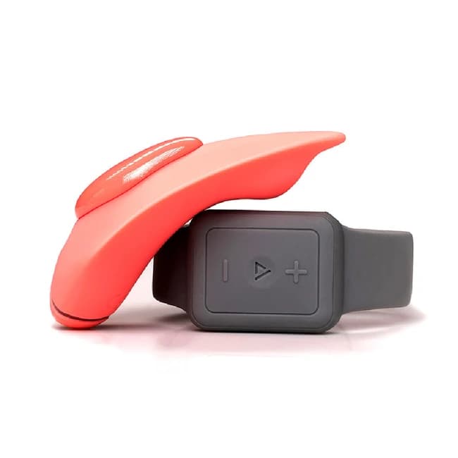 The Companion Remote Control Panty Vibe - Image 1