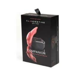 The Companion Remote Control Panty Vibe, image 2