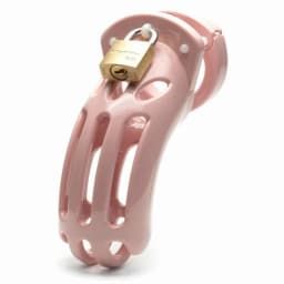 The Curve Pink Kit W/ 3.75 Cage Complete ", image 5