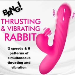 Thrusting & Vibrating Rabbit, image 2