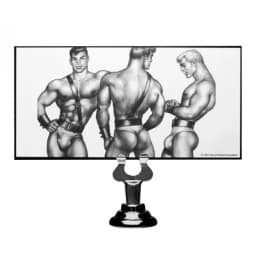Tom of Finland Anal Plug Silicone, image 5