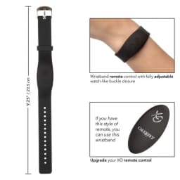 Wristband Remote Accesso, image 5