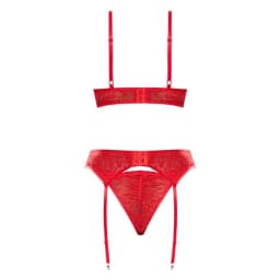 Ooh La Lace Demi Bra Gart Tanga, image 3