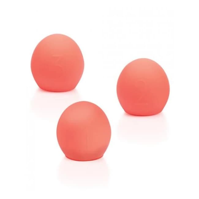 We-vibe Bloom Coral Accessories Kit - Image 1