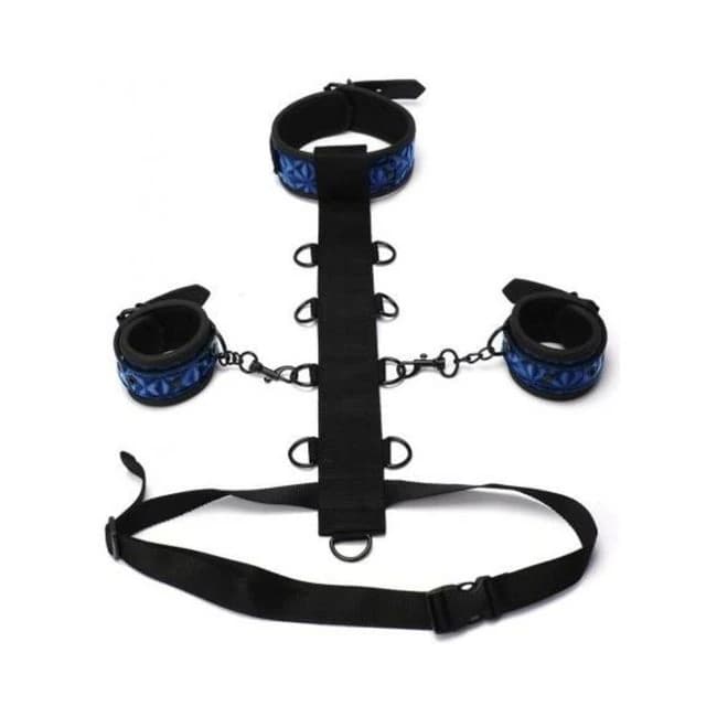 Whipsmart Body Harn Restraint 3pc Blue - Image 1