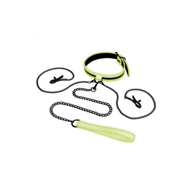 Whipsmart Gitd Collar Nipple Clip Leash - Image 1