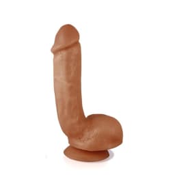 X5 Mister Grande Latin - Image 2