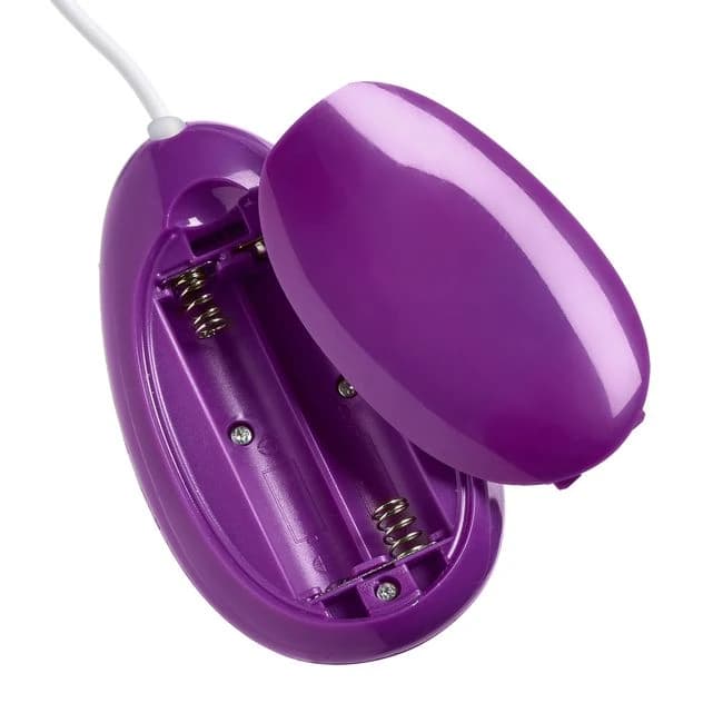 Cloud 9 20 Speed Bullet Purple W/ Remote - Image 1