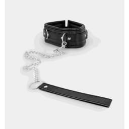 Collar & Leash, image 2