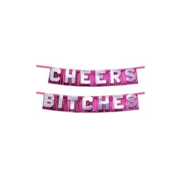 Bachelorette Cheers Bitche Party Banner, image 2