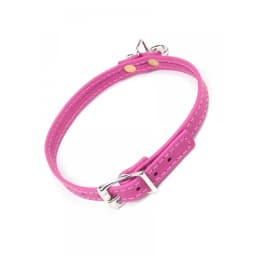Joanna Angel Choker, image 2