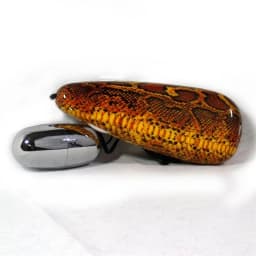 Primal Instincts Snake, image 2