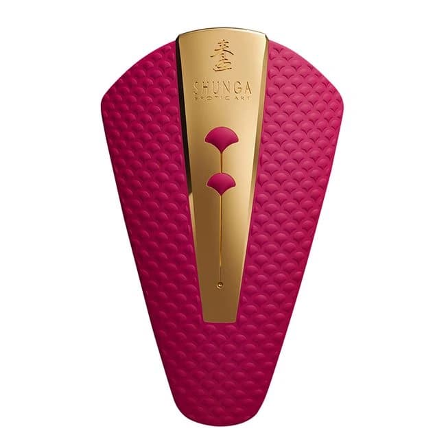 (d) Shunga Obi Intimate Massag Raspberry - Image 1