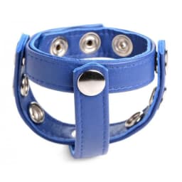 Strict Leather Cock Gear S on Harness Blue, image 2