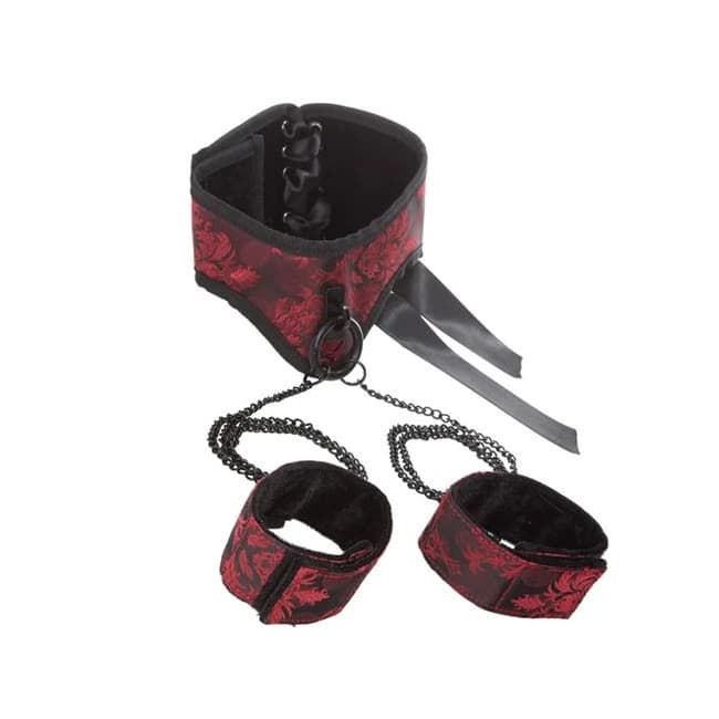 (d)scandal Posture Collar W/cu - Image 1