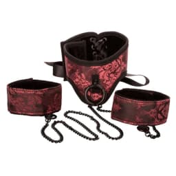 Scandal Posture Collar w/ Cu, image 11