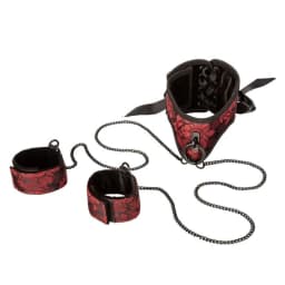 Scandal Posture Collar w/ Cu, image 3