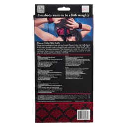 Scandal Posture Collar w/ Cu, image 5