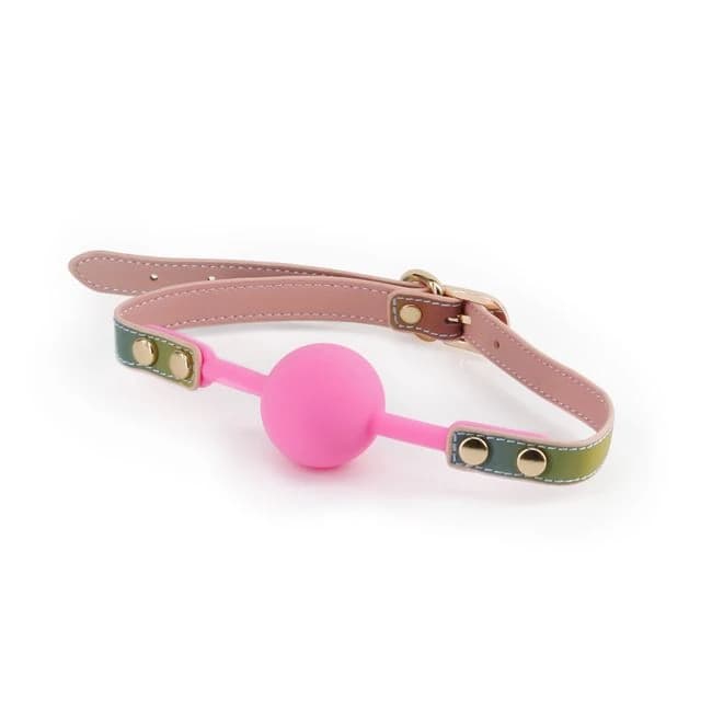 (d)spectra Bondage Ball Gag Rainbow - Image 1
