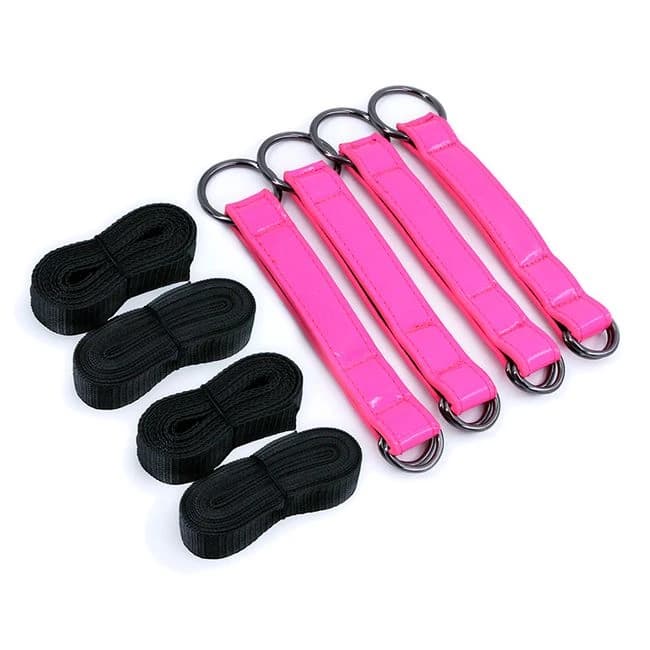 Electra Tie Down Straps Pink - Image 1