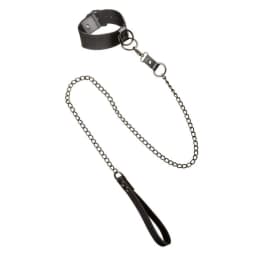 Euphoria Collar W/ Chain Leash, image 4