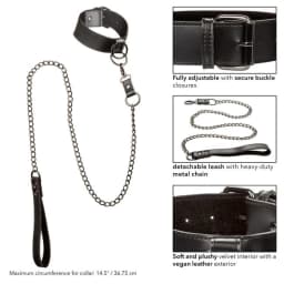 Euphoria Collar W/ Chain Leash, image 5