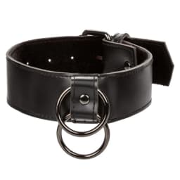 Euphoria Collar W/ Chain Leash, image 7
