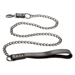 Euphoria Collar W/ Chain Leash, image 8