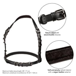 Euphoria Plus Size Halter Buckle Harness - Image 5