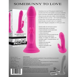 Evolved Somebunny to Love, image 2