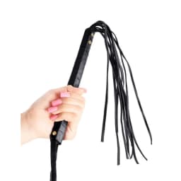 Fetish Fantasy First Time Flogger, image 3
