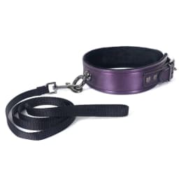 Galaxy Legend Collar & Leash, image 2