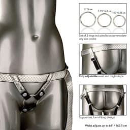 Her Royal Harness the Regal Duchess Gold, image 3