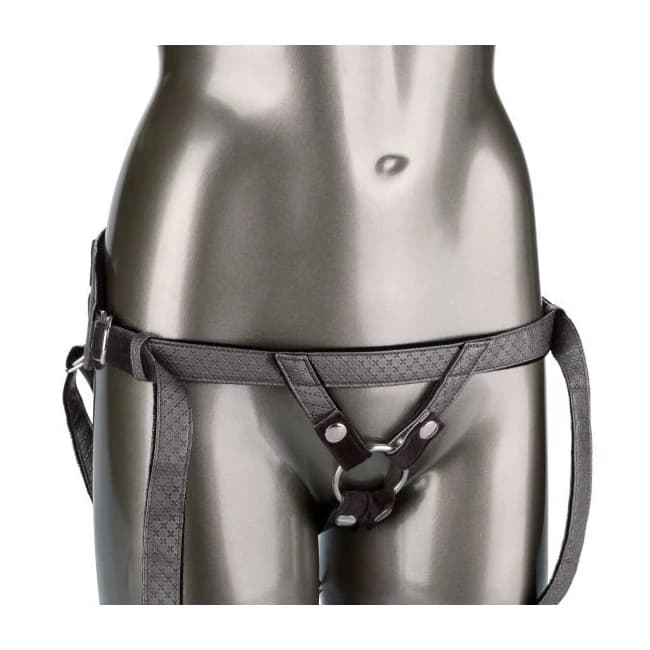 Her Royal Harness the Regal Princess Pewter - Image 2