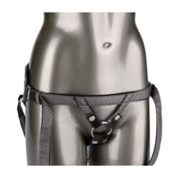 Her Royal Harness the Regal Princess Pewter, image 2