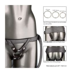Her Royal Harness the Regal Princess Pewter, image 3