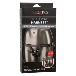 Her Royal Harness the Regal Princess Pewter, image 4