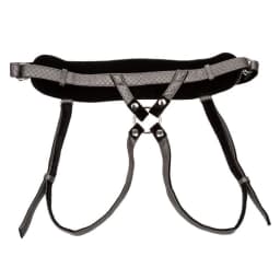 Her Royal Harness the Regal Princess Pewter, image 7