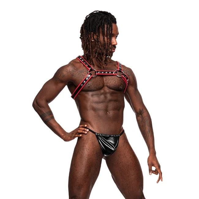 Leo Leather Harness Black/red O/s - Image 1