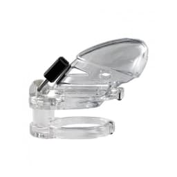 Locked in Lust the Vice Plus -, image 4