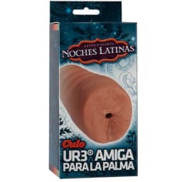 Noches Latinas, image 3