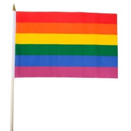 Rainbow Stick Flag - Image 2