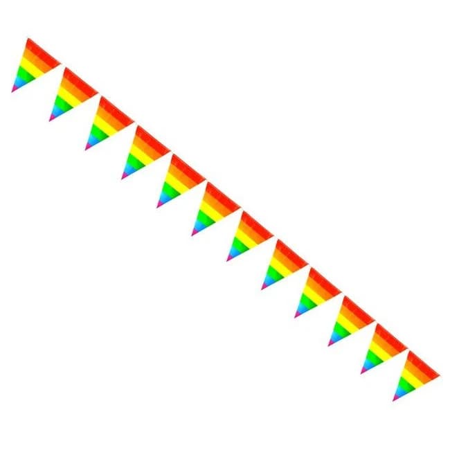 Rainbow Striped Pennants - Image 1
