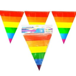 Rainbow Striped Pennants, image 2