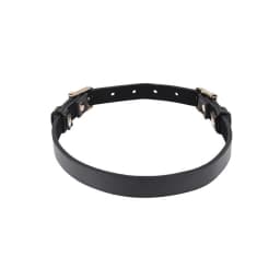 Sex & Mischief Double Buckle Day Collar - Image 2