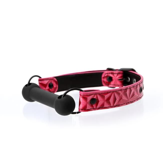 Sinful Bar Gag Pink - Image 1