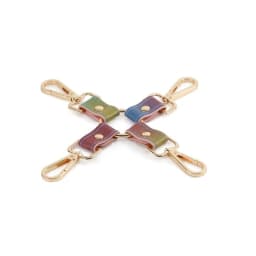 Spectra Bondage Hogtie Rainbow - Image 1
