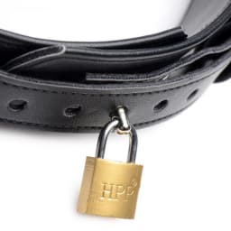 Strict Frog Tie Restraint Set, image 3