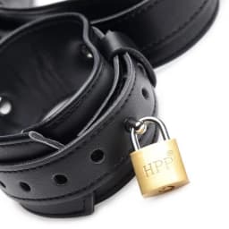 Strict Frog Tie Restraint Set, image 5